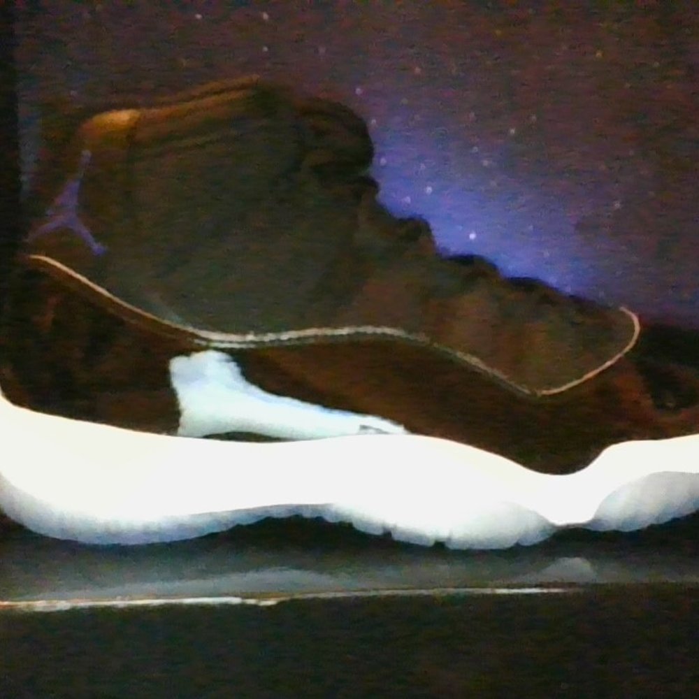 NIKE AIR JORDAN 11 SPACE JAM (2016)